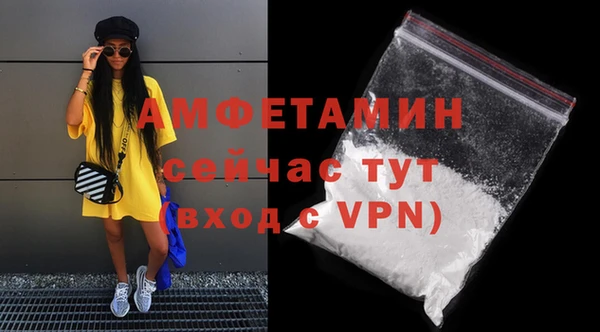 сатива Волоколамск