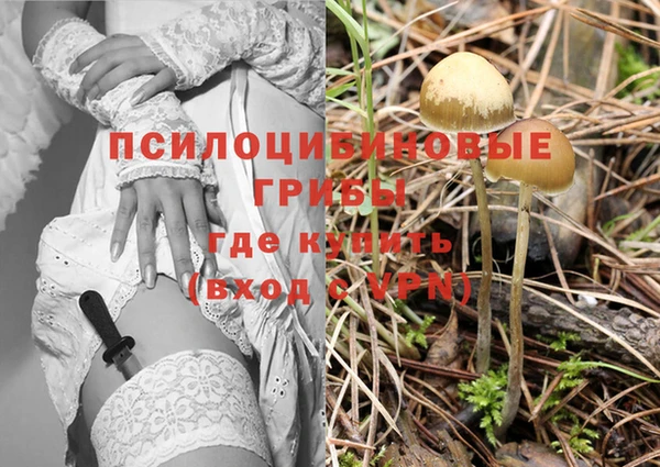 сатива Волоколамск