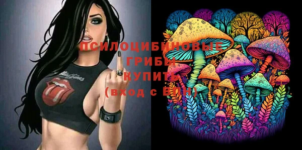 тгк Саяногорск