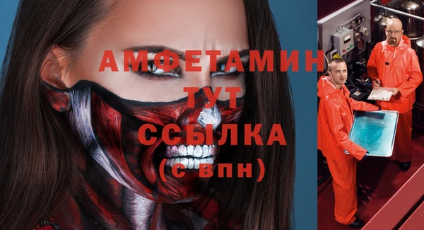 сатива Волоколамск