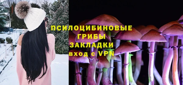 сатива Волоколамск