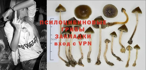 эйфоретик Володарск