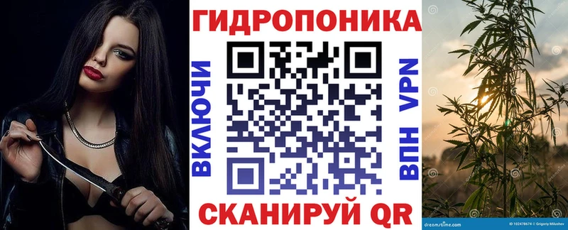 купить наркотик  Рубцовск  Конопля планчик 